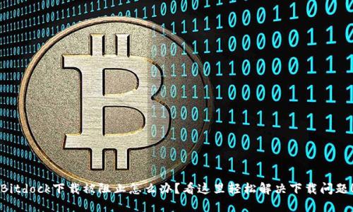 Bitdock下载被阻止怎么办?看这里轻松解决下载问题!