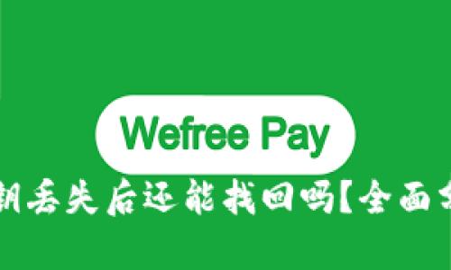 区块链钱包私钥丢失后还能找回吗？全面分析与解决方案