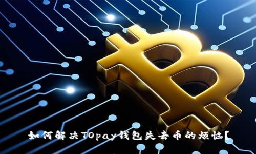 如何解决TOpay钱包失去币的烦恼？