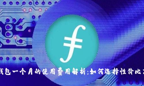 区块链钱包一个月的使用费用解析：如何选择性价比高的钱包