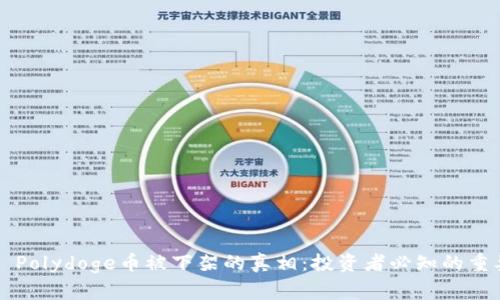 ### Polydoge币被下架的真相：投资者必知的重要信息