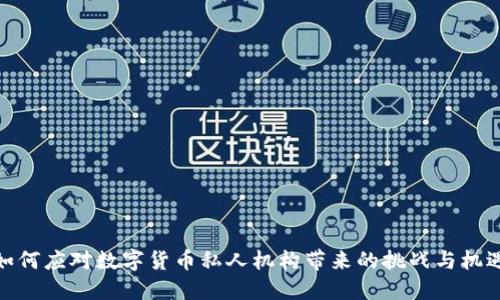 如何应对数字货币私人机构带来的挑战与机遇