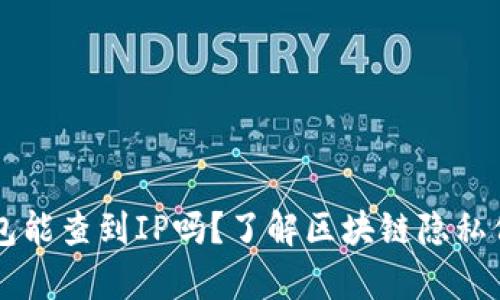 区块链钱包能查到IP吗?了解区块链隐私保护的真相